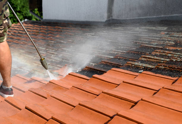Best Commercial Pressure Washing  in Waskom, TX