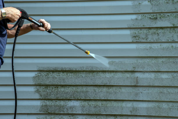 Best Best Pressure Washing Companies  in Waskom, TX